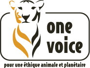 Logo One Voice